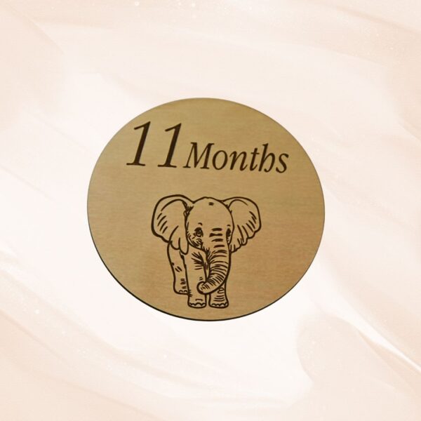 Wooden Baby Milestone Discs - Animals - Handcrafted by Lasercraft Central Coast