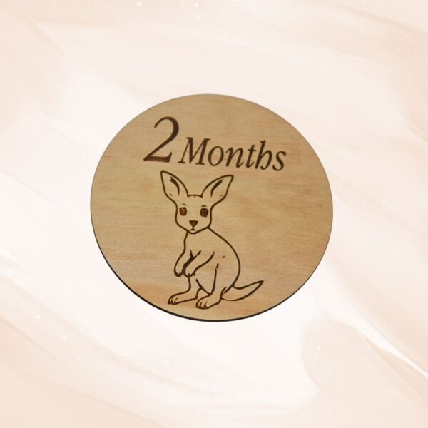 Wooden Baby Milestone Discs - Animals - Handcrafted by Lasercraft Central Coast