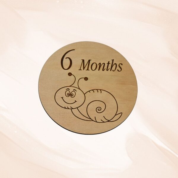 Wooden Baby Milestone Discs - Animals - Handcrafted by Lasercraft Central Coast