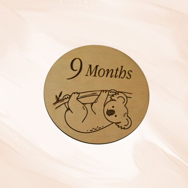 Wooden Baby Milestone Discs - Animals (Set of 12) - Image 10