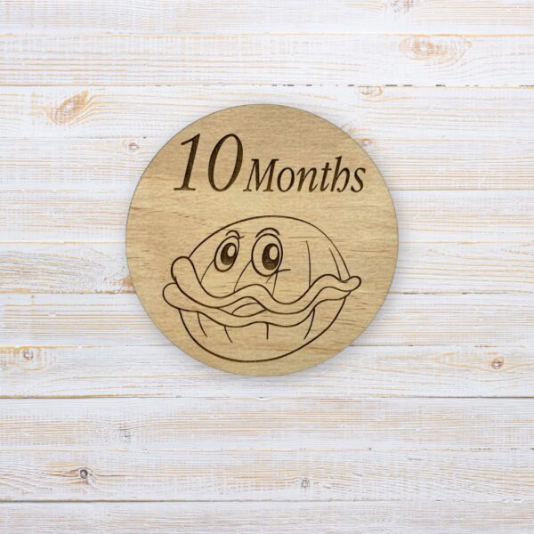 Wooden Milestone Disc Sea Animals - Handcrafted by Lasercraft Central Coast