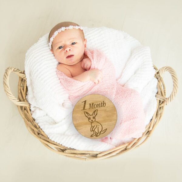 Wooden Baby Milestone Discs - Australian Animals (Set of 12)