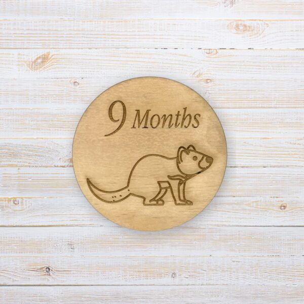Wooden Baby Milestone Discs - Australian Animals (Set of 12) - Image 10