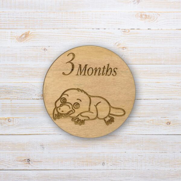 Wooden Baby Milestone Discs - Australian Animals (Set of 12) - Image 4