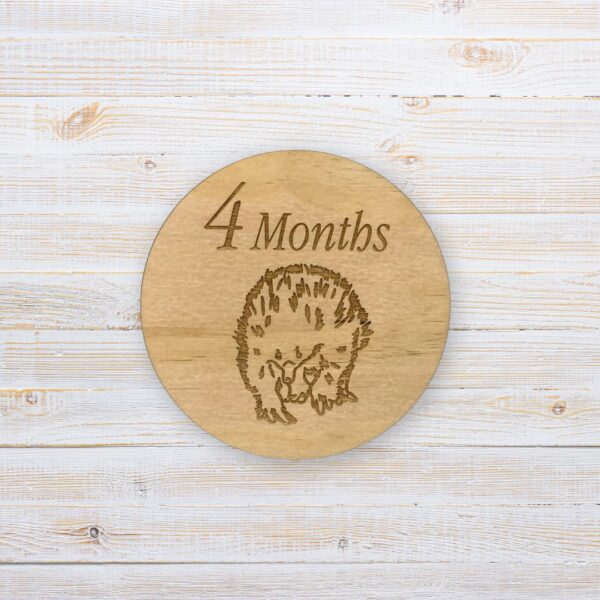 Wooden Baby Milestone Discs - Australian Animals (Set of 12) - Image 5
