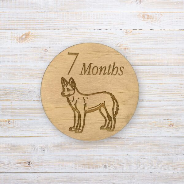 Wooden Baby Milestone Discs - Australian Animals (Set of 12) - Image 8