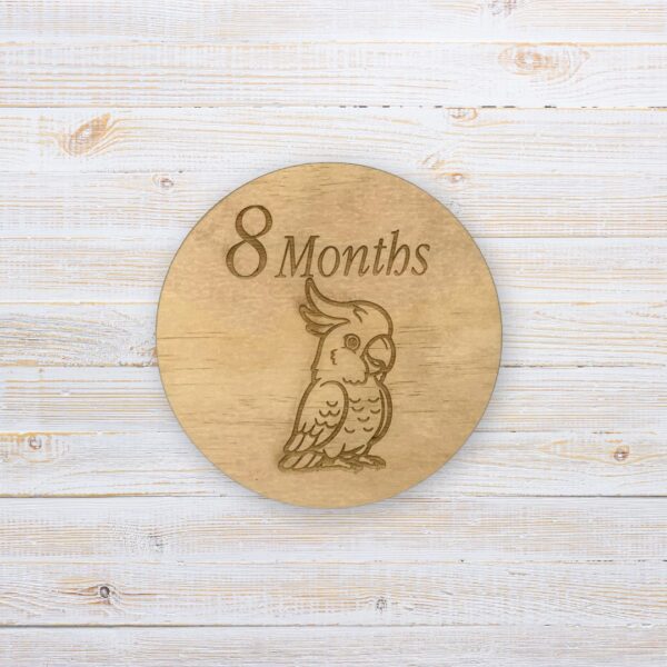 Wooden Baby Milestone Discs - Australian Animals (Set of 12) - Image 9